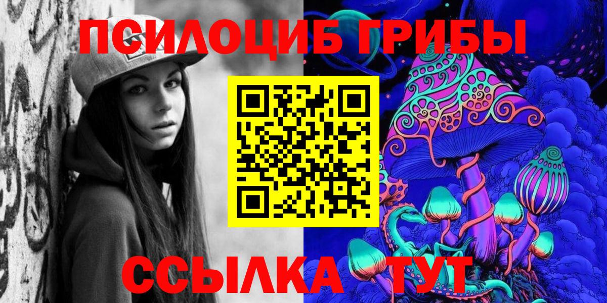 Псилоцибиновые грибы Psilocybe Ефремов