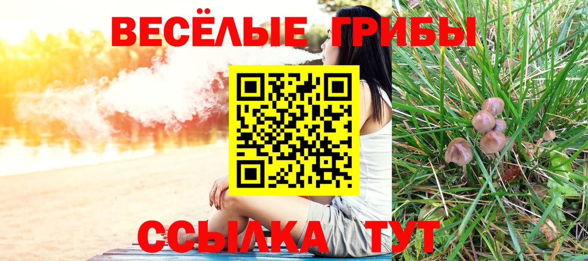 купить наркоту  Вход с VPN  Галлюциногенные грибы мицелий  Ефремов  Псилоцибиновые грибы ЛСД 
